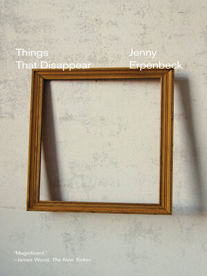 cover image of Things That Disappear